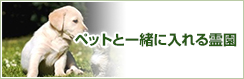 多磨霊園門前の石材店、納骨・埋葬・お墓・霊園のこがねや石材