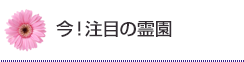 今!注目の霊園