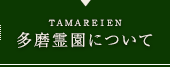 多磨霊園について