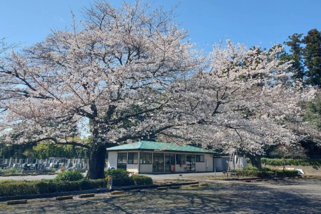武蔵ヶ丘霊園