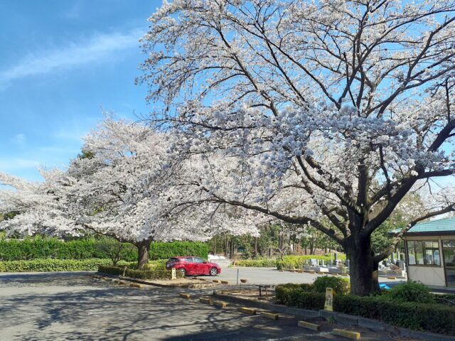 武蔵ヶ丘霊園