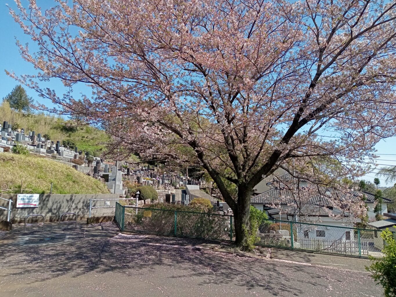 厚木中央霊園