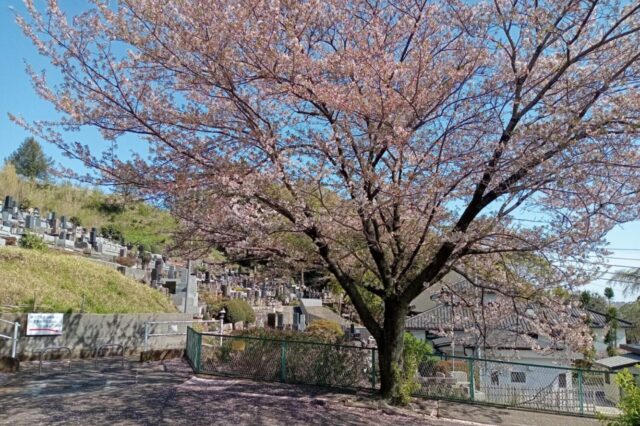 厚木中央霊園