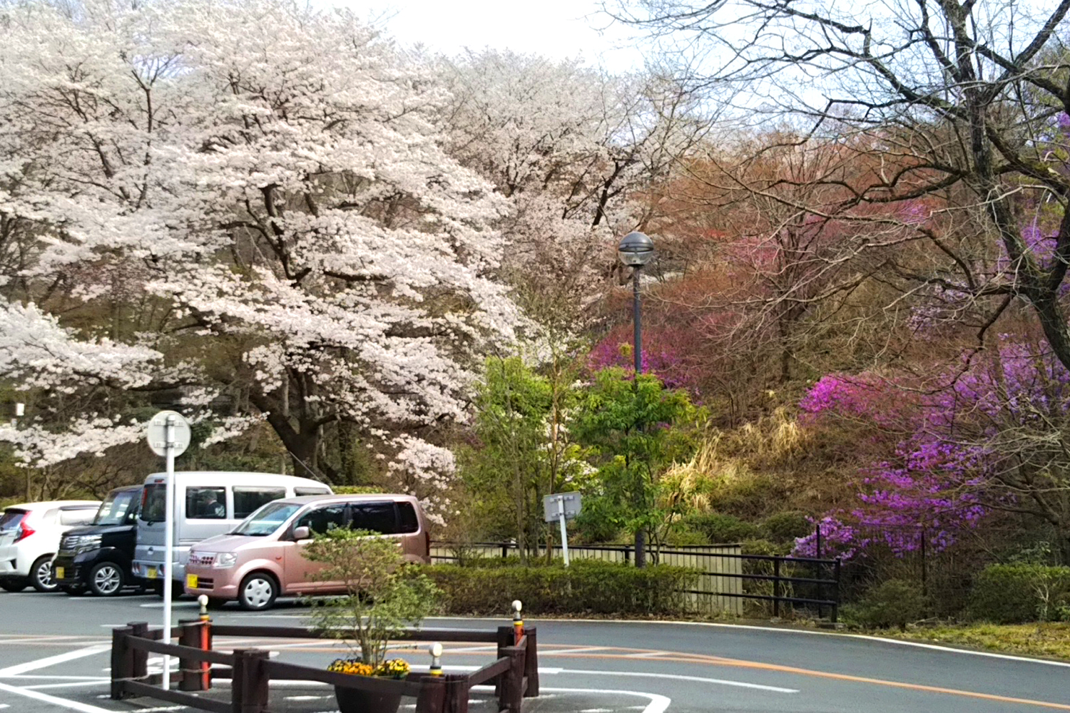 上川霊園