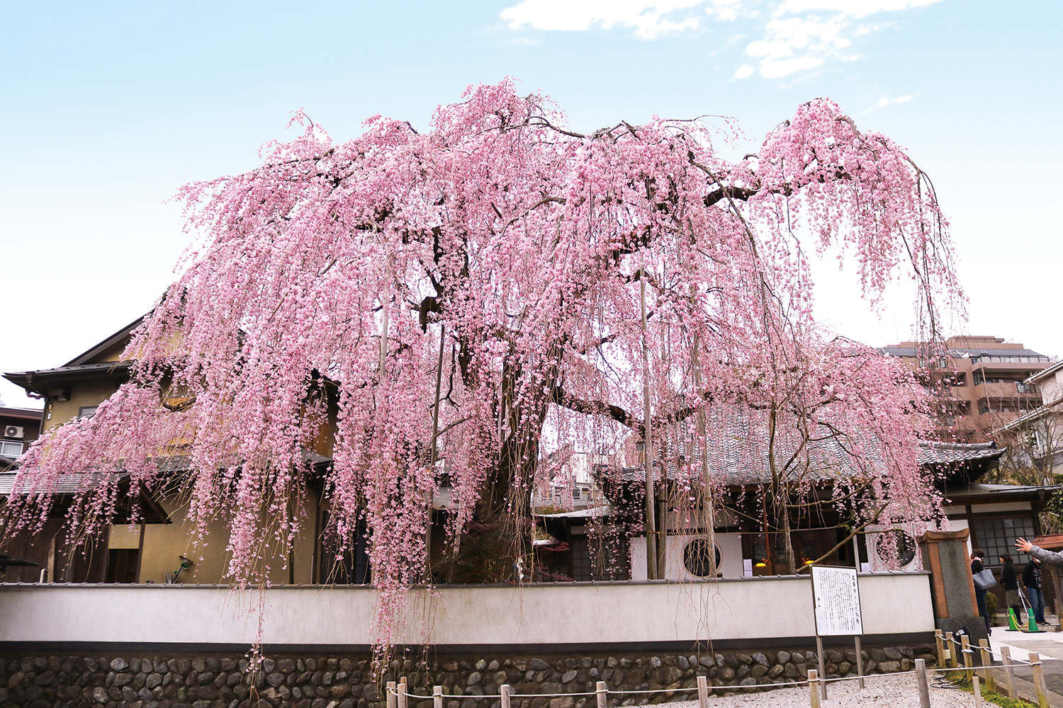 髙楽寺