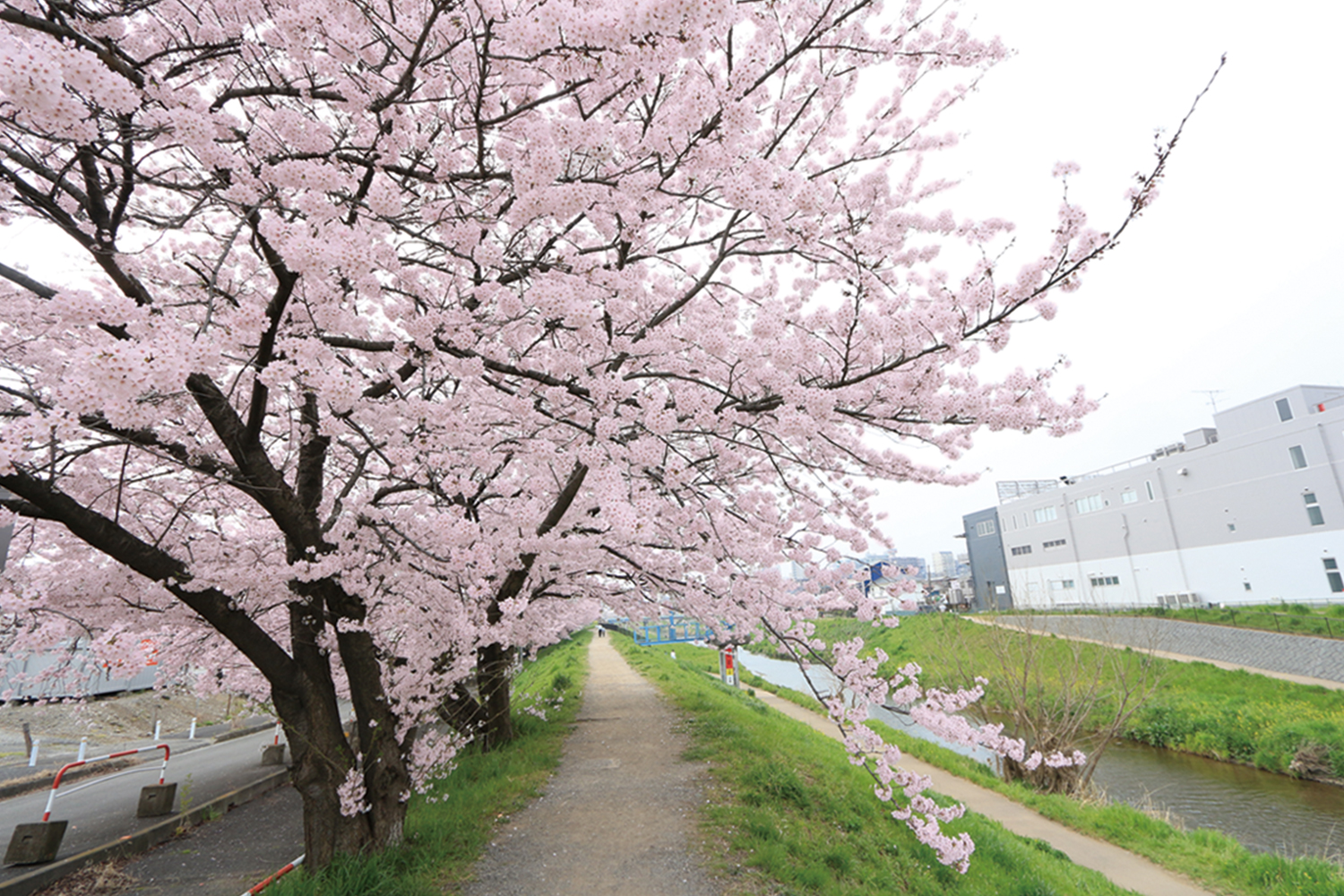 聖地霊園 未来